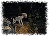 eurodisney0031.jpg