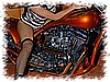 passiontuning1076.jpg