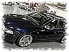 DSC_2317_DxO.jpg