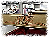 DSC_2336_DxO.jpg