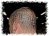 DSC_2461_DxO.jpg