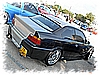 DSC_3095_DxO.jpg