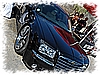 DSC_1938_DxO.jpg
