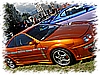 DSC_0040_DxO.jpg