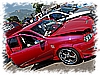 DSC_0016_DxO.jpg