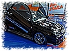 DSC_PTS_072.jpg