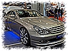 DSC_PTS_083.jpg