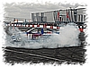 DSC_PTS_354.jpg