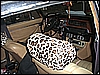 CIMG0016.JPG