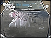CIMG0072.JPG