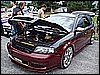 DSC00259.JPG
