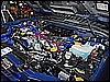 DSC_1572_DxO.jpg
