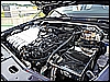 DSC_1589_DxO.jpg