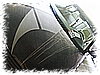 PICT0087.JPG