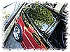 PICT0088.JPG