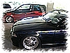 PICT0090.JPG