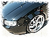 PICT0119.JPG