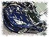 PICT0064.jpg