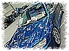 PICT0068.jpg