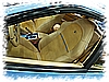 PICT0072.jpg