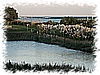 PICT0181.JPG