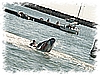 PICT0215.JPG