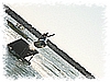 PICT0217.JPG