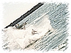 PICT0219.JPG