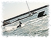 PICT0220.JPG