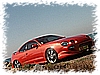 PICT0221.JPG