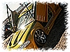 PICT0225.JPG