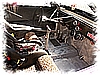 PICT0267.JPG