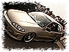 PICT0309.JPG