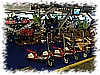 DSC_5811_DxO.jpg