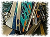 DSC_5911_DxO.jpg