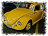 DSC_5976_DxO.jpg