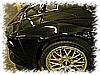 DSC_6011_DxO.jpg