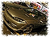 DSC_6015_DxO.jpg