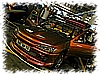 DSC_6026_DxO.jpg