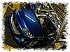 DSC_6029_DxO.jpg