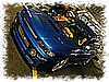 DSC_6031_DxO.jpg