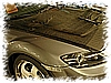 DSC_6054_DxO.jpg