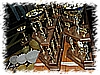 DSC_6096_DxO.jpg