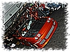 DSC_6161_DxO.jpg
