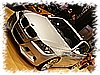 PICT0015.jpg