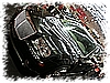 PICT0308.jpg