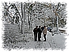 PICT10021.jpg