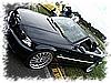 PICT0055.jpg