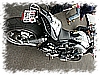 PICT0031.jpg