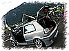 PICT0041.jpg